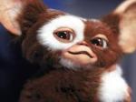 Gizmo